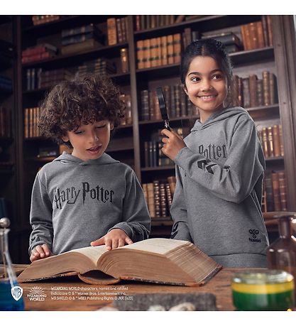 Hummel Hoodie - hmlHarry Potter - Medium+ Melange