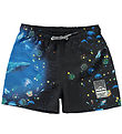 Molo Badeshorts - UV50+ - Niko - Plankton Molo Badeshorts - UV50+ - Niko - Plankton