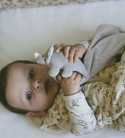 That's Mine Comfort Blanket - Jacob - Dino