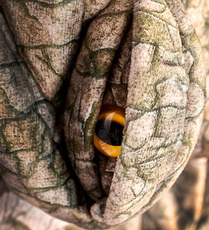 Den Goda Fen Udklædning - Spinosaur - Heldragt