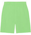 Molo Sweatshorts - Adian - Grass Green Molo Sweatshorts - Adian - Grass Green