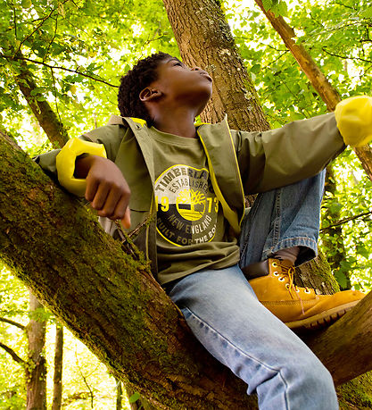 Timberland Jeans - Double Stone