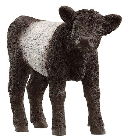 Schleich Farm World - Gallowaykalv - H: 5,7 cm - 13969 Schleich Farm World - Gallowaykalv - H: 5,7 cm - 13969