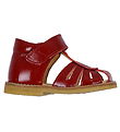 Angulus Sandaler - Begynder - Dark Red Angulus Sandaler - Begynder - Dark Red