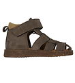 Angulus Sandaler - Begynder - dark Taupe/Camel Angulus Sandaler - Begynder - dark Taupe/Camel