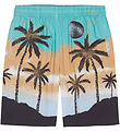 Molo Shorts - Adi - Holiday Molo Shorts - Adi - Holiday