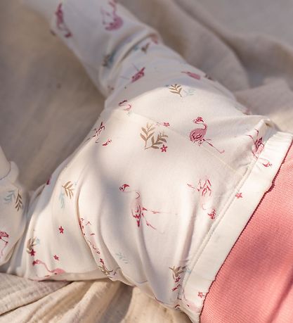 CeLaVi Leggings - Brandied Apricot CeLaVi Leggings - Brandied Apricot