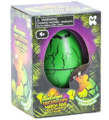 Nurchums Æg - Large - Triceratops Nurchums Æg - Large - Triceratops