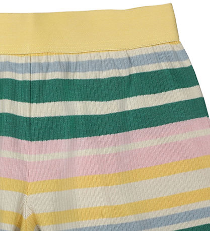 The New Shorts - Rib - TnKate - Lemon Drop The New Shorts - Rib - TnKate - Lemon Drop