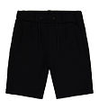 The New Shorts - ThOwen - Black Beauty The New Shorts - ThOwen - Black Beauty