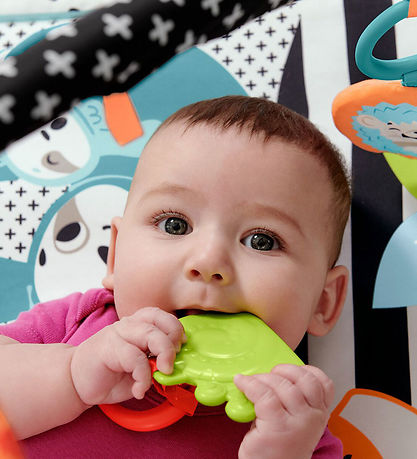 Fisher-Price Aktivitetstæppe - 3 i 1 - Musik, Lys og Gro Fisher-Price Aktivitetstæppe - 3 i 1 - Musik, Lys og Gro