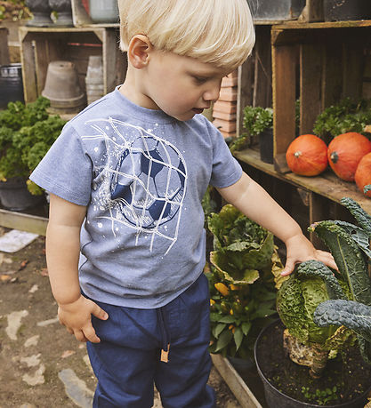 Hust and Claire Bukser - HCThure - Blues