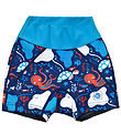Splash About Badebukser - Jammers Duo - UV50+ - Under The Sea Splash About Badebukser - Jammers Duo - UV50+ - Under The Sea