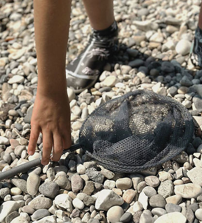 Follow the Duck Net - Telescopic Net - Anthracite Grey Follow the Duck Net - Telescopic Net - Anthracite Grey