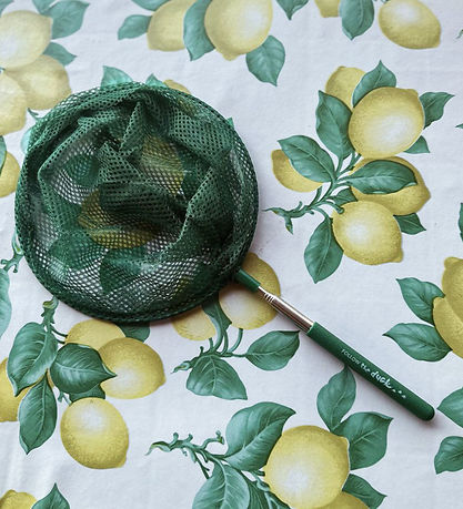 Follow the Duck Net - Telescopic Net - Dark Green Follow the Duck Net - Telescopic Net - Dark Green