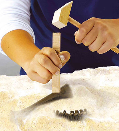 SES Creative Udhug - Explore - Triceratops og Skelet SES Creative Udhug - Explore - Triceratops og Skelet