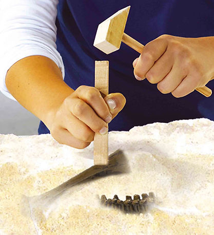 SES Creative Udhug - Explore - T-rex og Skelet