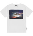 Molo T-shirt - Riley - Visitors Molo T-shirt - Riley - Visitors