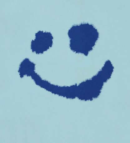 Molo T-shirt - Rame - Water Smile