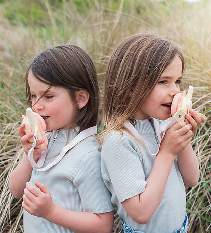 The Zoofamily Walkie Talkies - Dino Pink