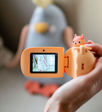 The Zoofamily Videokamera - Zoo Video - Ræv