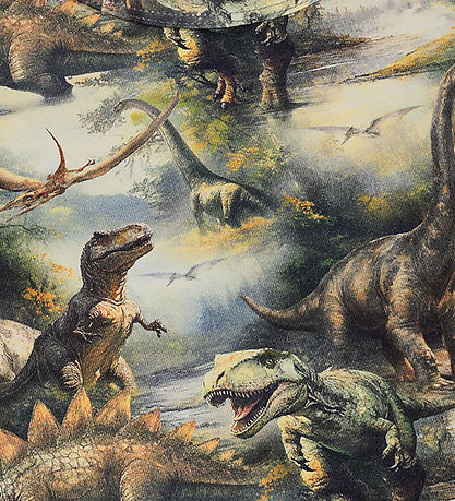 Molo Undertrøjer - Jayden - 2-pak - Dino Harmony