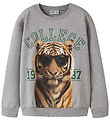 Name It Sweatshirt - NkmVoto - Grey Melange/College