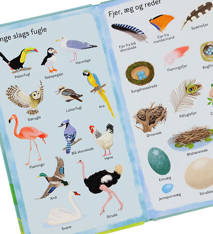 Gads Forlag Book - 199 Things I Nature - DA