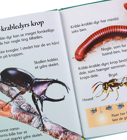 Gads Forlag Bog - Små Fakta: Krible Krabledyr - DA