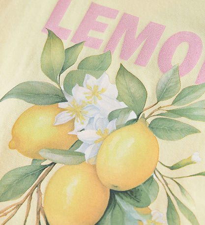 Name It T-shirt - 2-pak - NkfVotia - Pink Drink/Double Cream