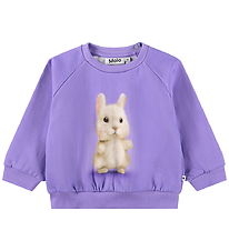 Molo Sweatshirt - Disc - Buddies