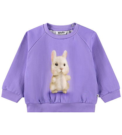 Molo Sweatshirt - Disc - Buddies