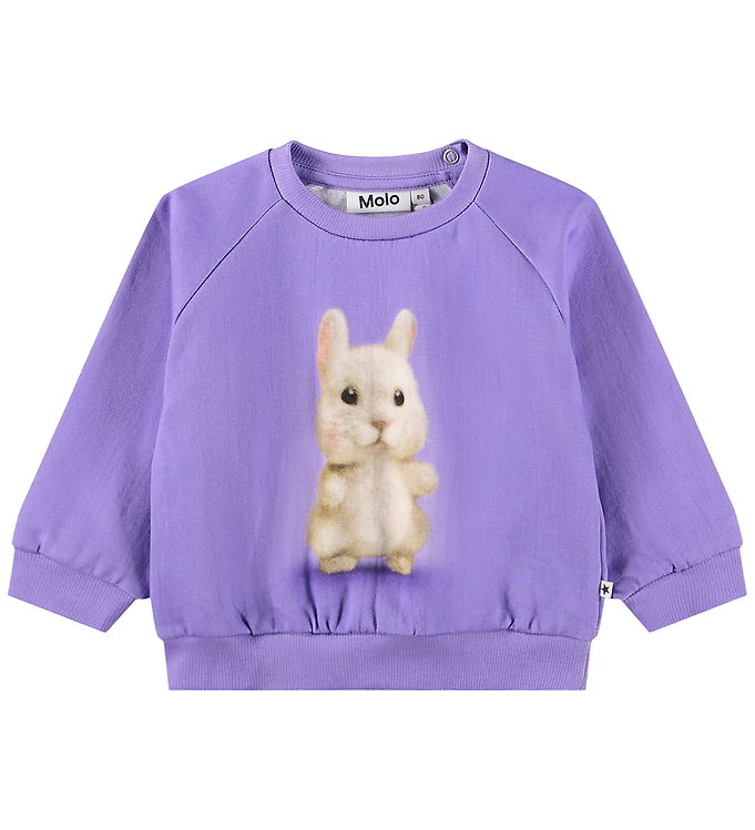 Molo Sweatshirt - Disc - Buddies