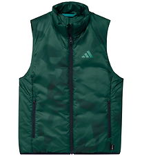 adidas Performance Dynevest - Terrex - Collegiate Green