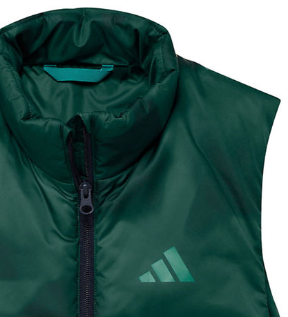 adidas Performance Dynevest - Terrex - Collegiate Green
