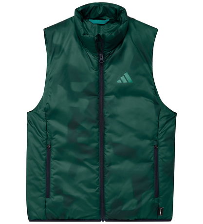 adidas Performance Dynevest - Terrex - Collegiate Green