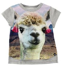 Molo T-shirt - Erin - Lama Molo T-shirt - Erin - Lama