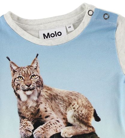 T-Shirt Molo - Eddie - Cactus Cat