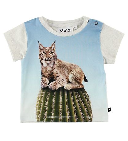 T-Shirt Molo - Eddie - Cactus Cat T-Shirt Molo - Eddie - Cactus Cat