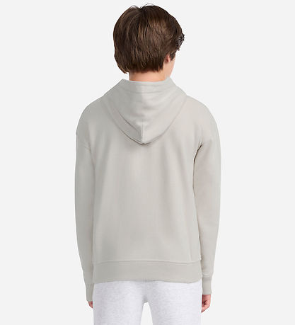 Abercrombie & Fitch Hættetrøje - Pumice Stone