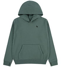 Abercrombie & Fitch Hættetrøje - Laurel Wreath