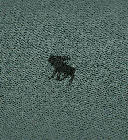 Abercrombie & Fitch Hættetrøje - Laurel Wreath