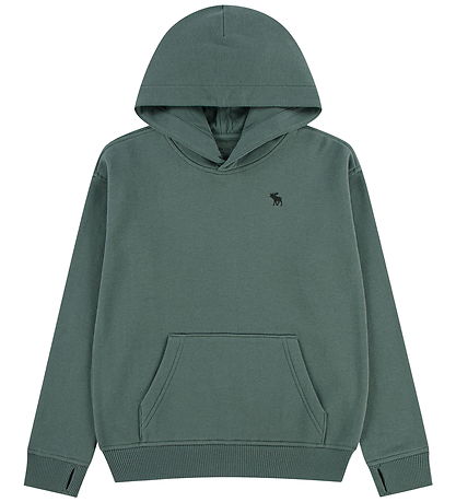 Abercrombie & Fitch Hættetrøje - Laurel Wreath