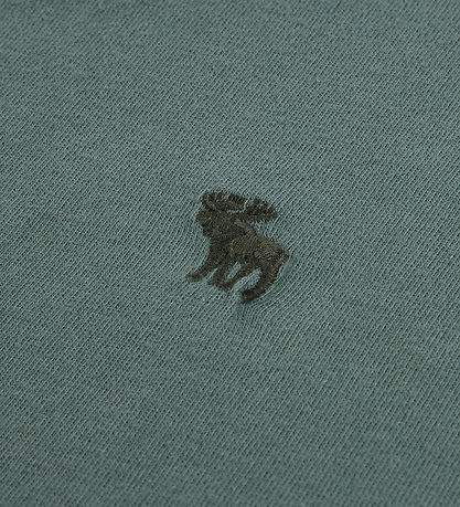 Abercrombie & Fitch T-Shirt - Laurel Wreath