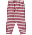Joha Leggings - Wool - Bordeaux