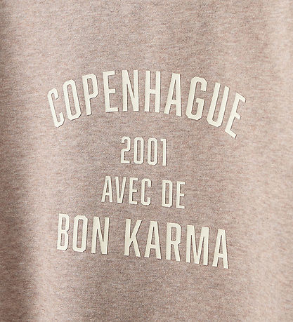 Sofie Schnoor Sweatshirt - ElinSY - Brown Melange