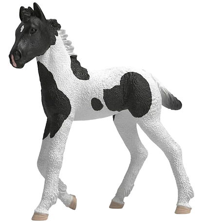 Schleich Horse Club - Collectible Foal - Rocky - 81481