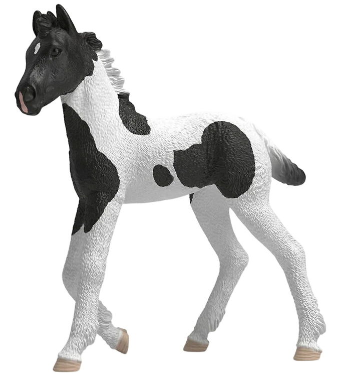 Schleich Horse Club - Collectible Foal - Rocky - 81481