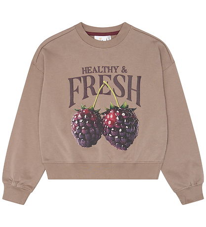 The New Sweatshirt - TNVianca - Taupe Gray