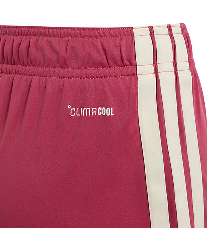 adidas Performance Fodboldshorts - Real Madrid 3 Sæt 26/27 - Wil